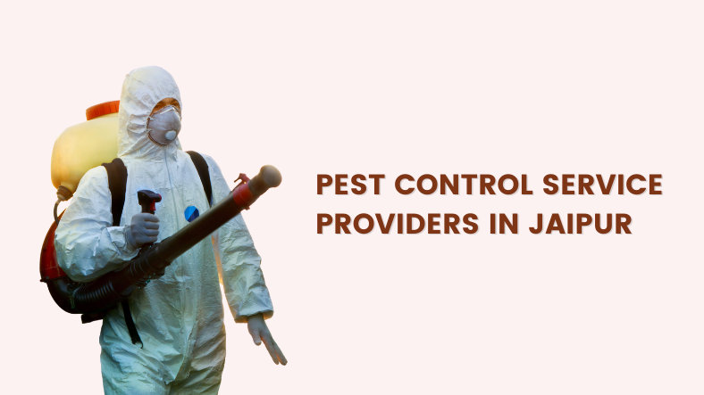 Top 5 Pest Control Services Providers in Jaipur